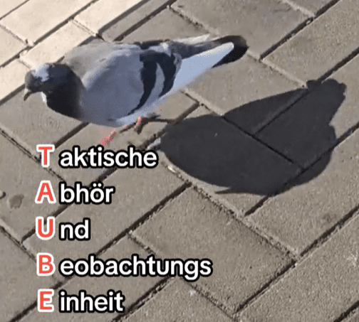 1745837124624.png