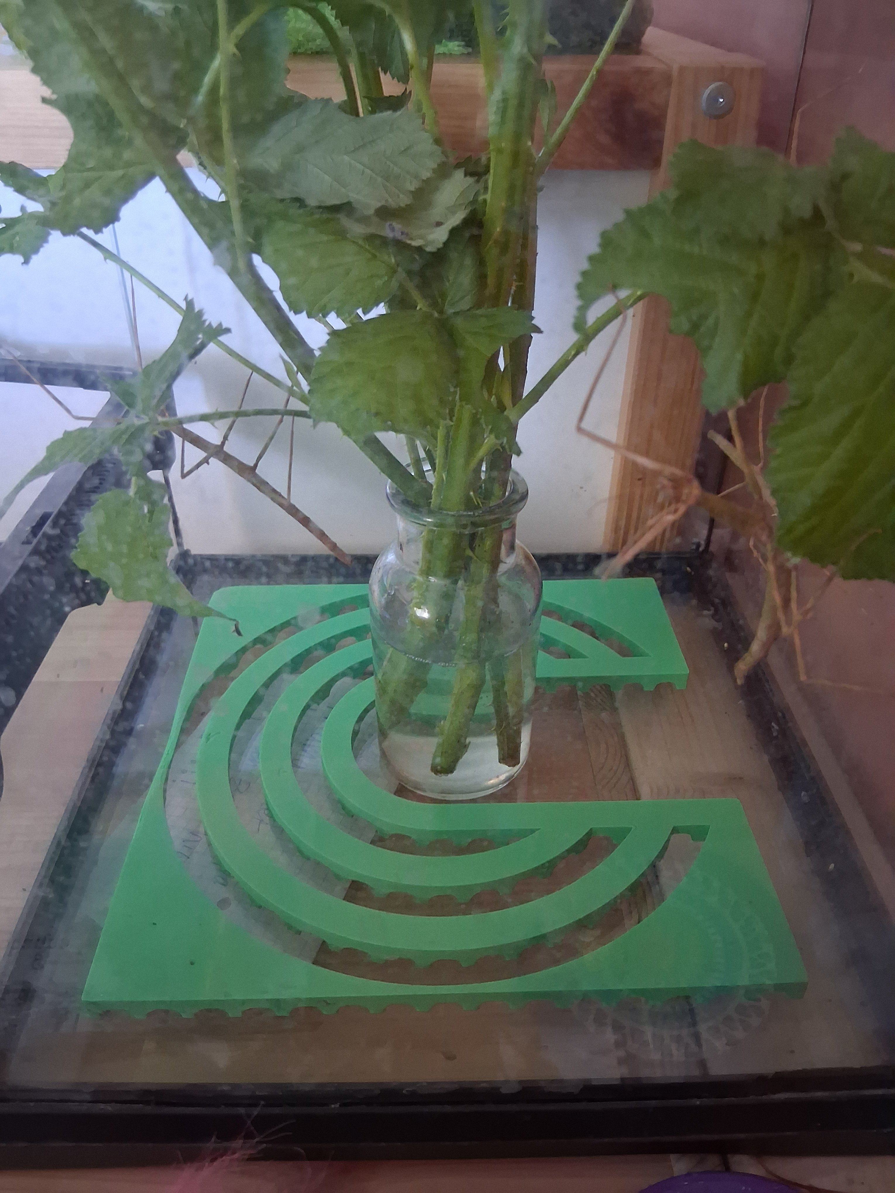 20250426_123445.jpg