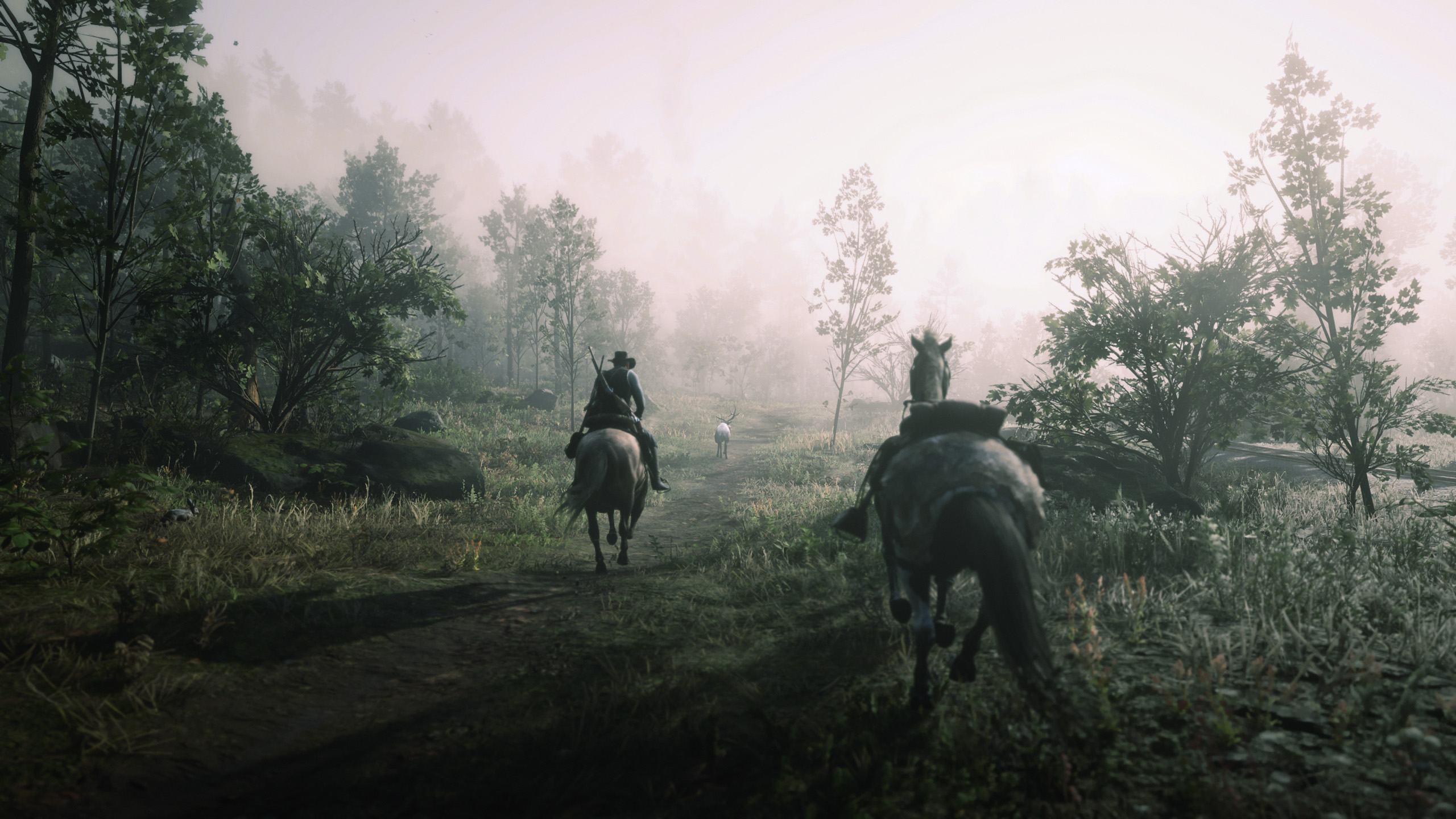 _0003_Red Dead Redemption 2 01.08.2020 08_33_52.png.jpg