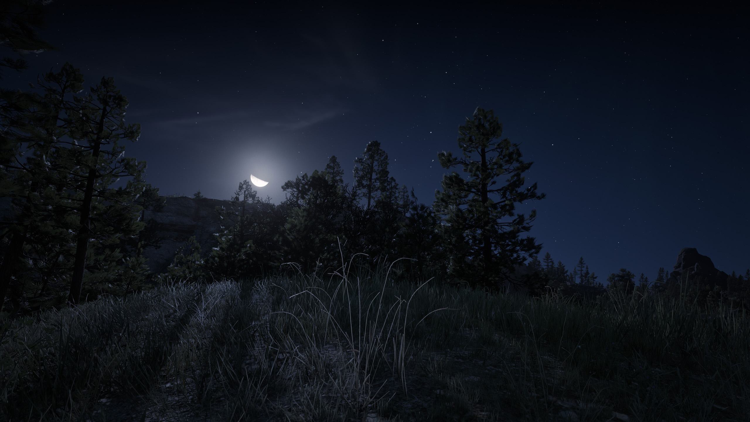 _0014_Red Dead Redemption 2 02.08.2020 01_03_21.png.jpg