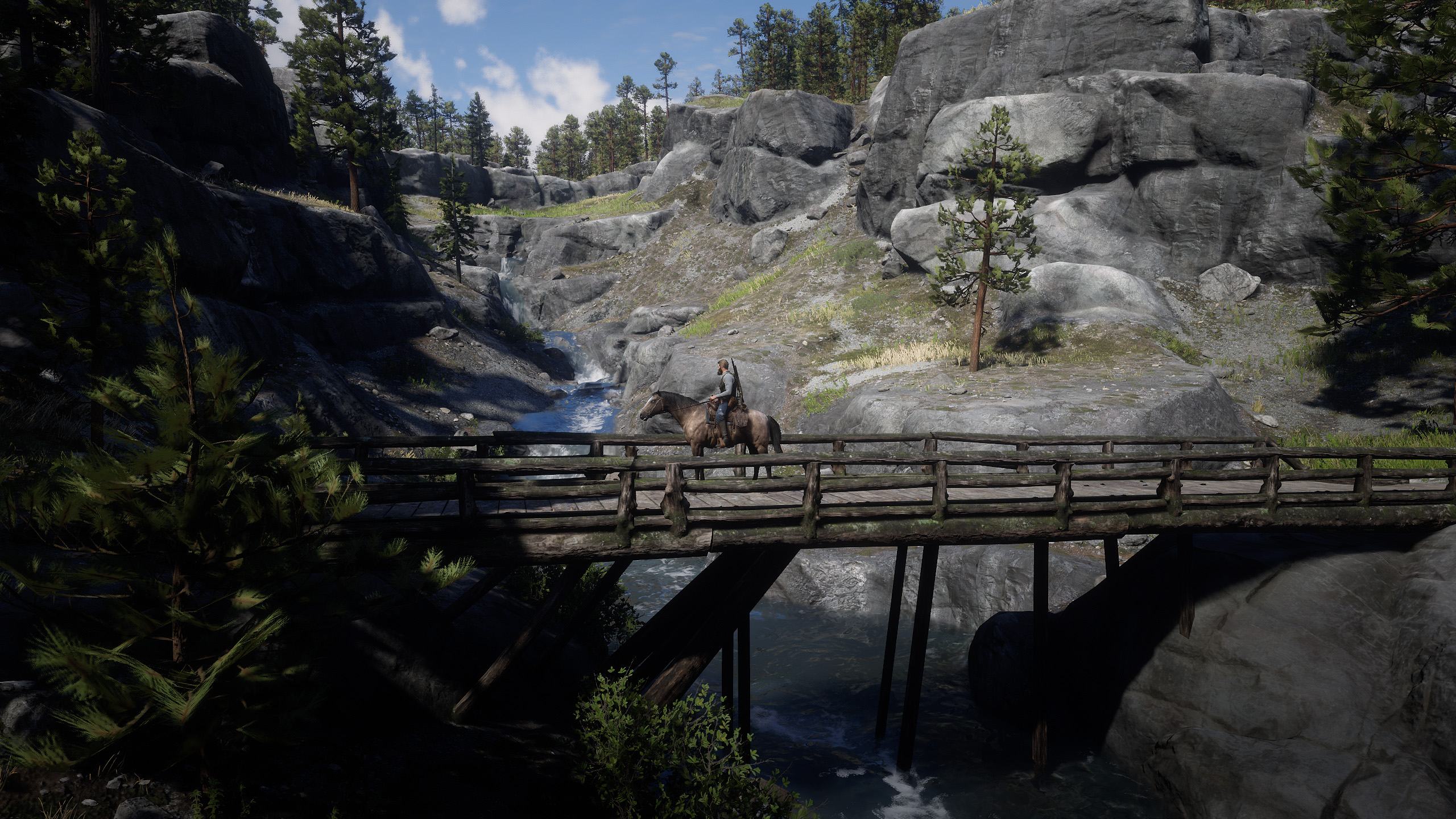 _0026_Red Dead Redemption 2 31.07.2020 22_24_44.png.jpg