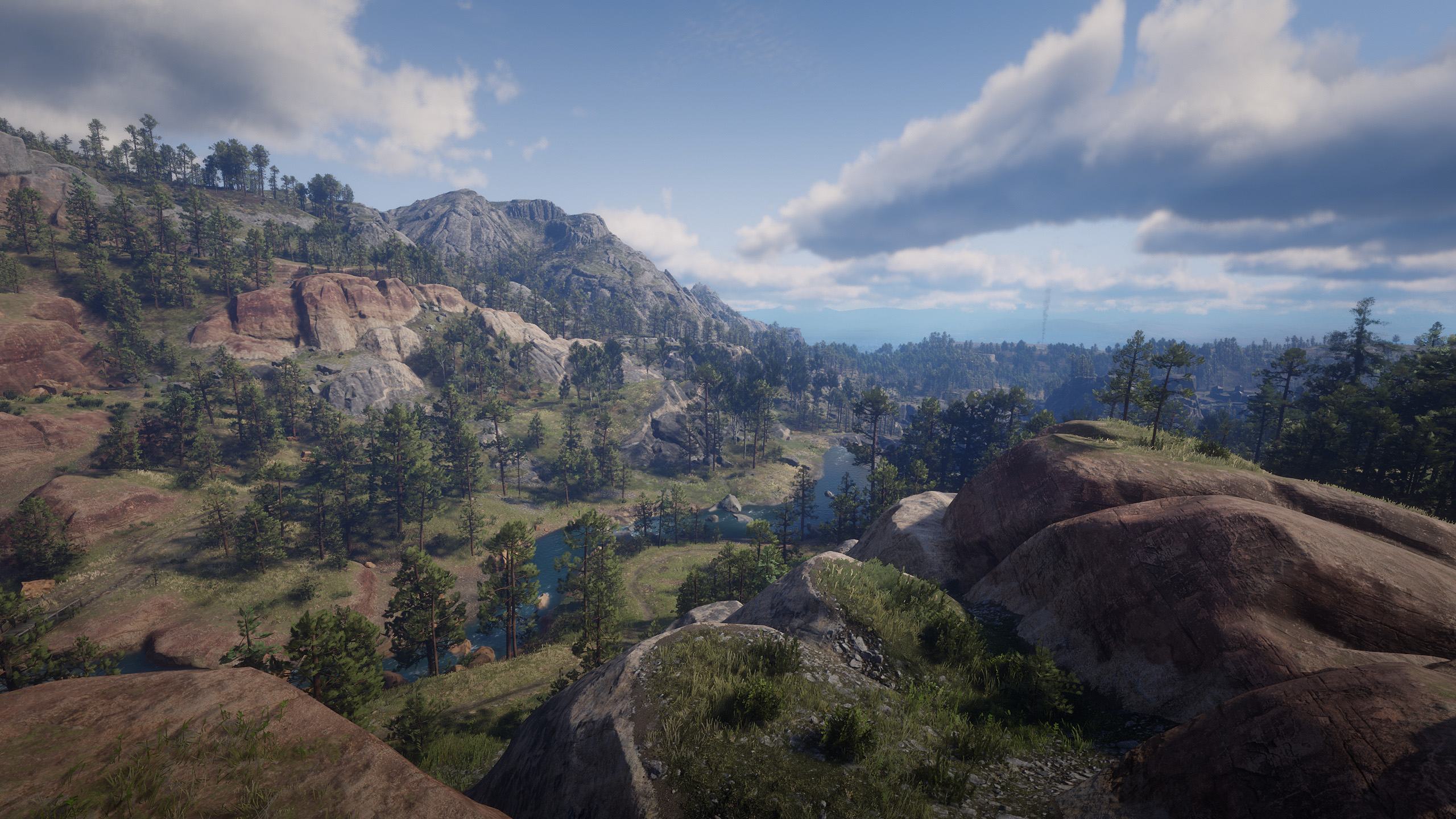 _0028_Red Dead Redemption 2 31.07.2020 22_31_56.png.jpg