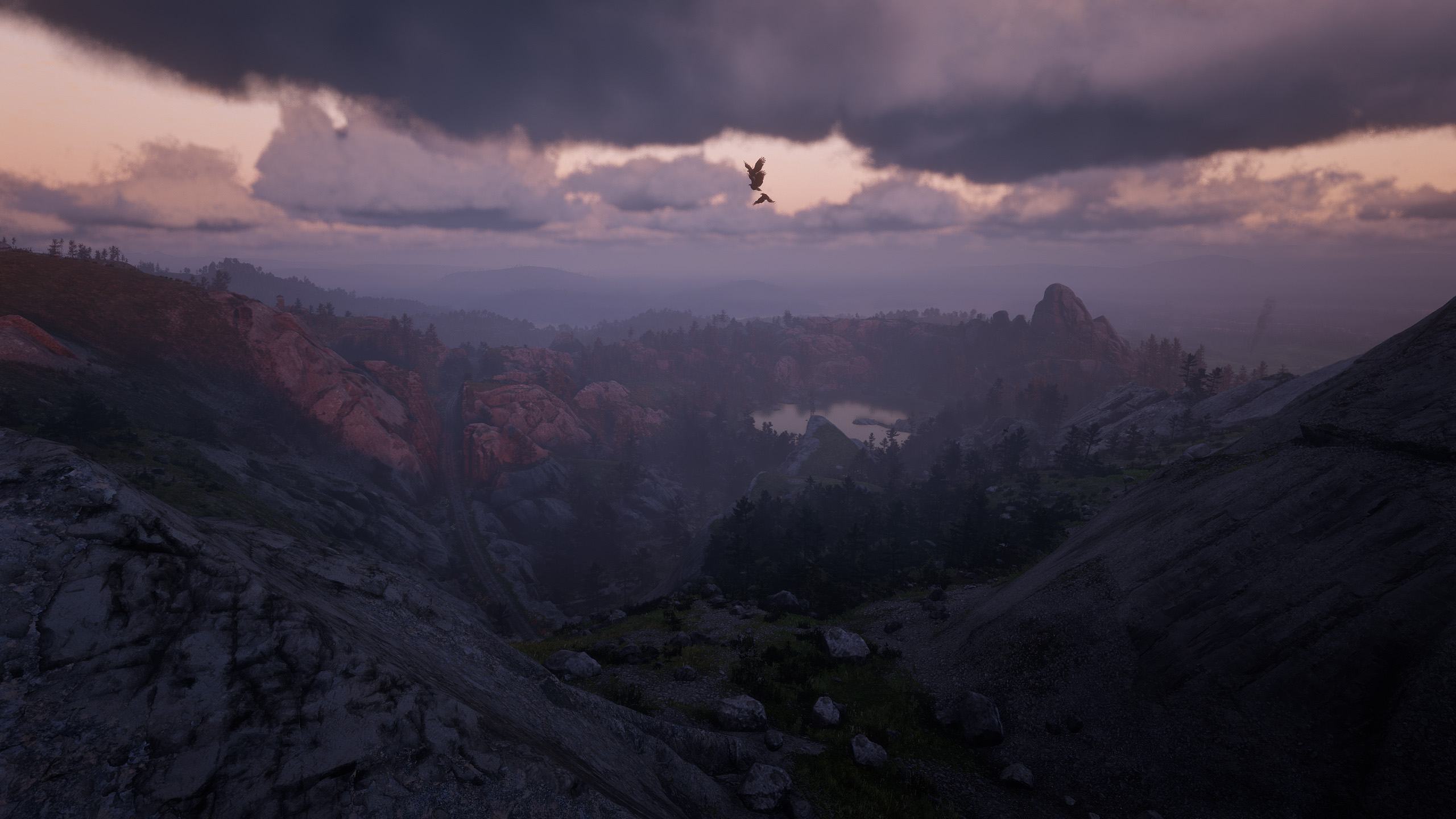 _0030_Red Dead Redemption 2 31.07.2020 22_43_56.png.jpg