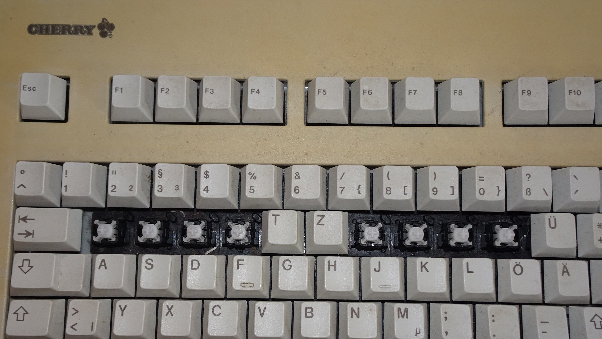 Cherry G81 MY-Switch.JPG