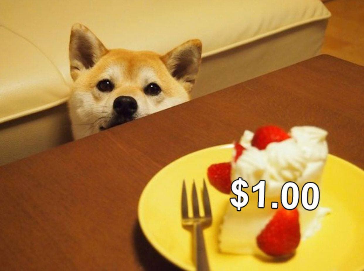 doge 1$ cake.jpg