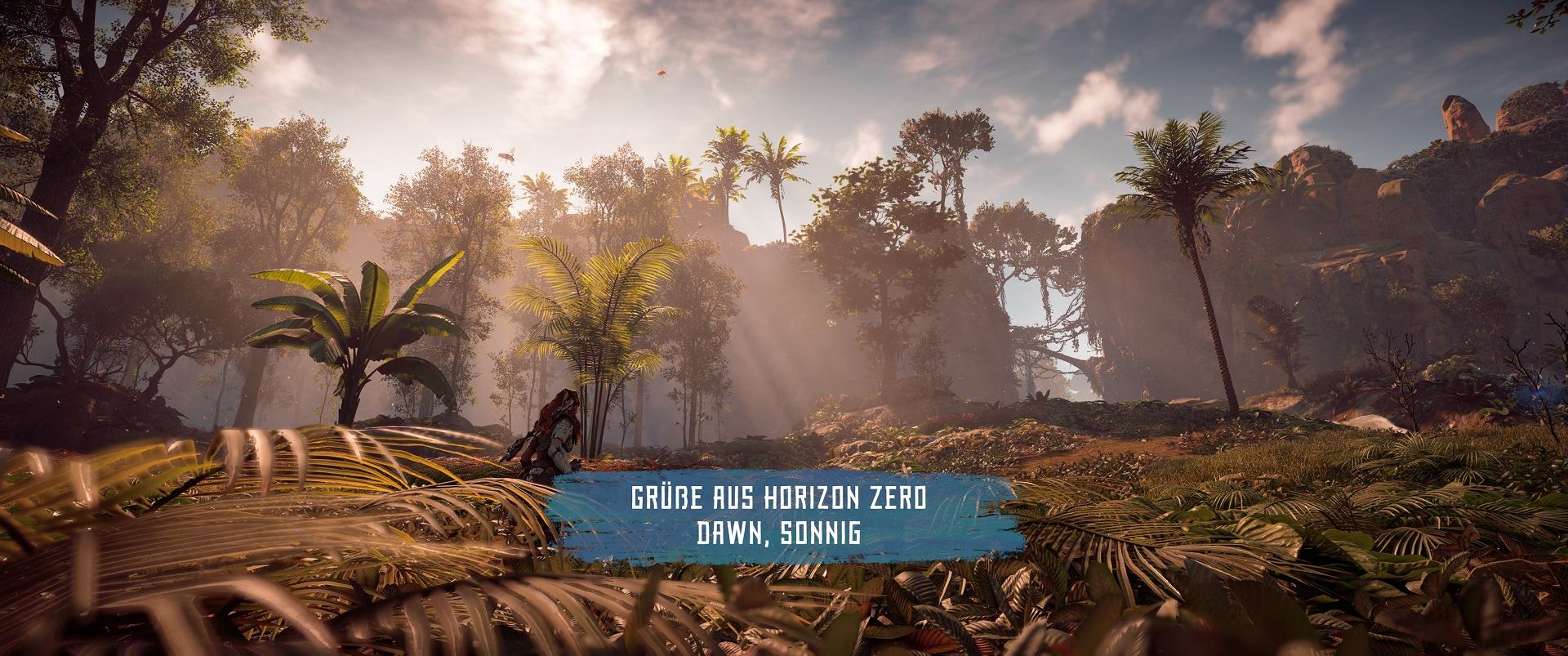 Horizon Zero Dawn_Thu_Dec_31_12-21-57_2020.jpg