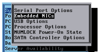 HPE-MS-Gen8-BIOS-System-nic-part.png