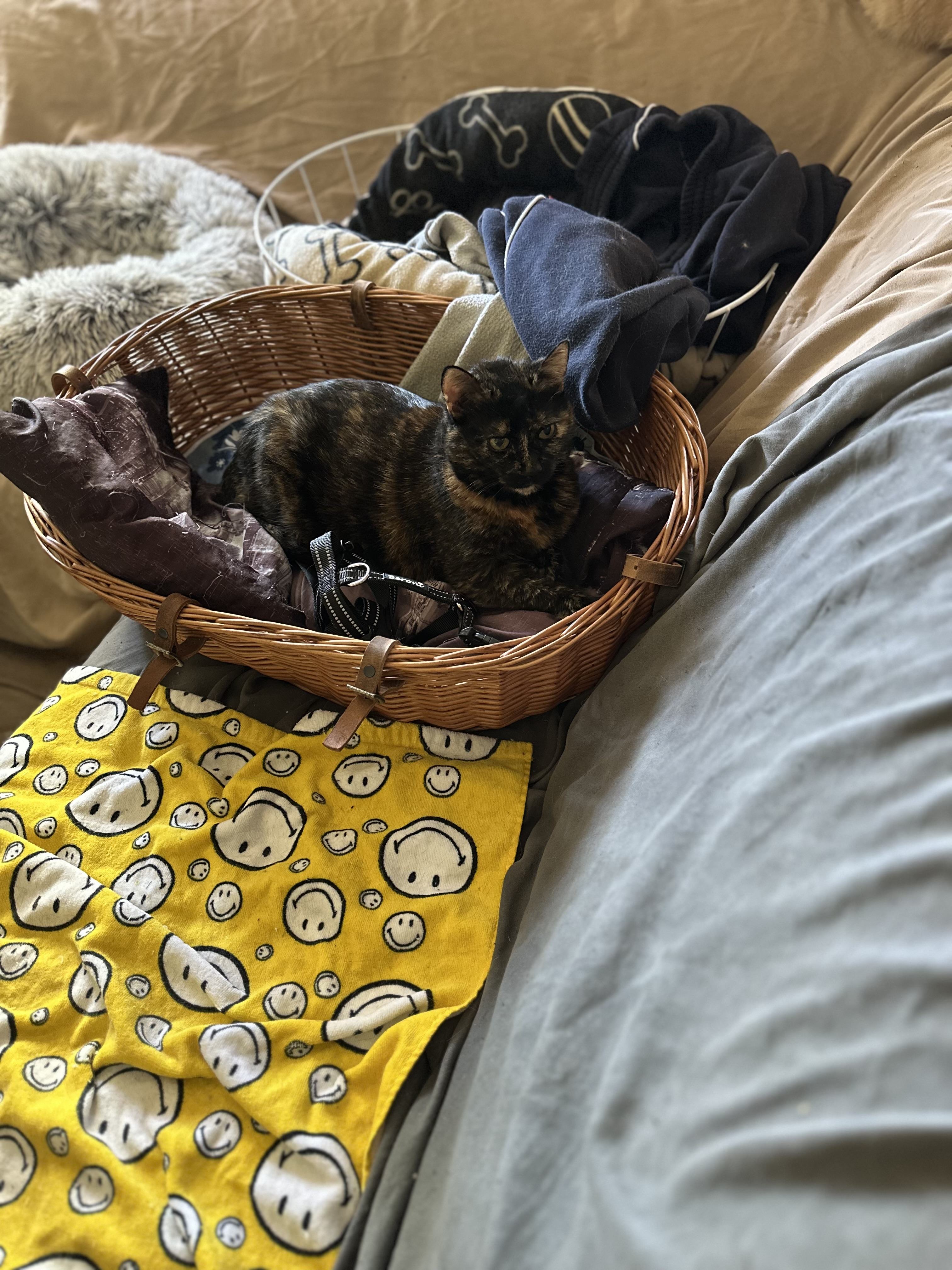 IMG_7068.jpeg