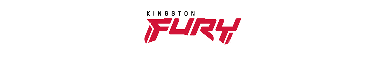 Kingston Fury Renegade Lesertest.png