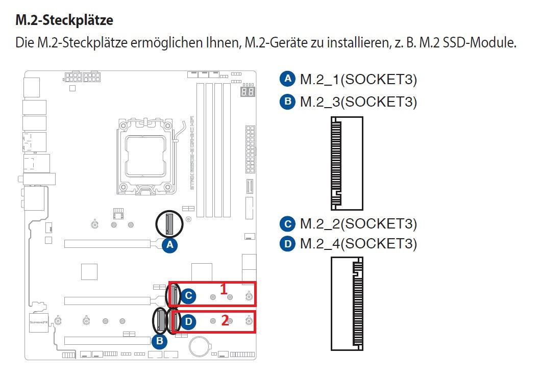 m2.jpg