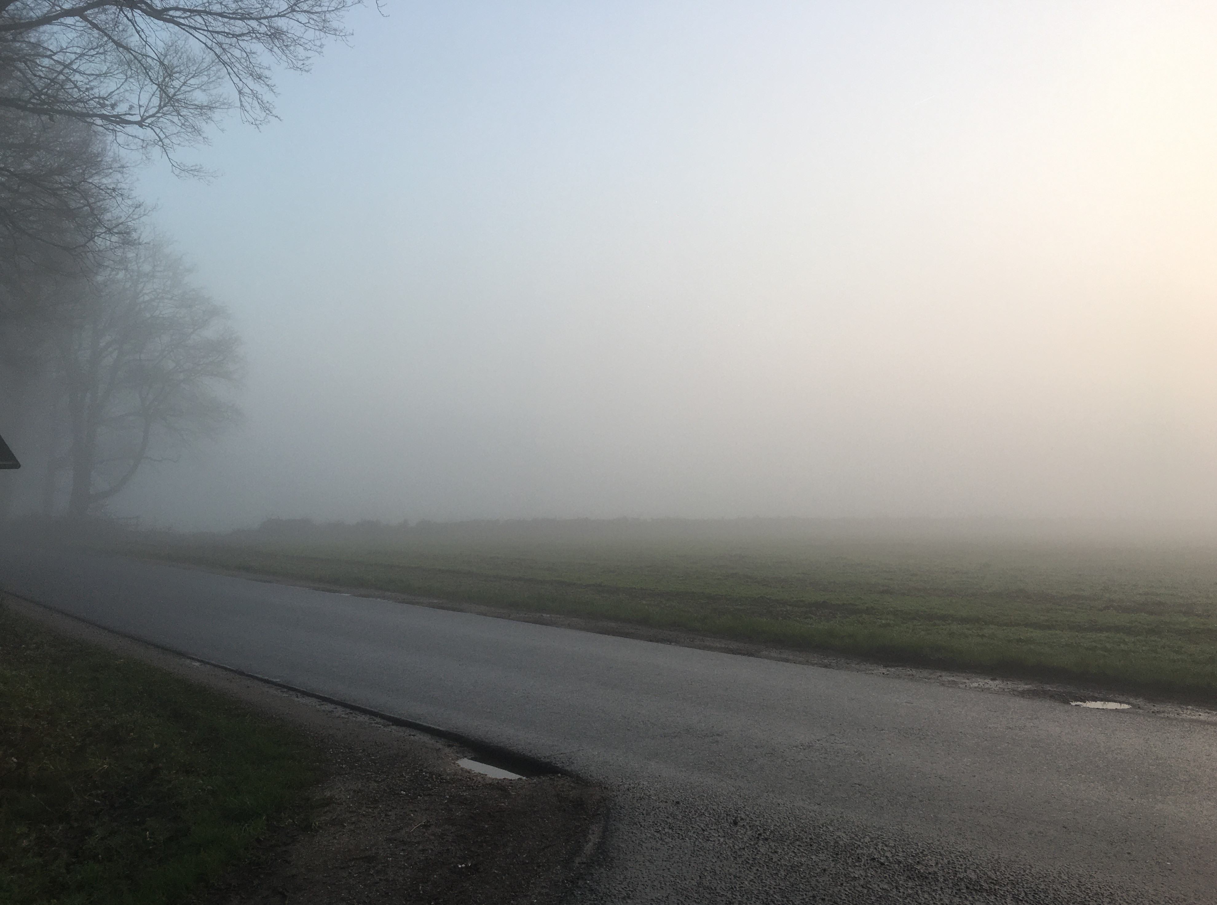 nebel.jpg