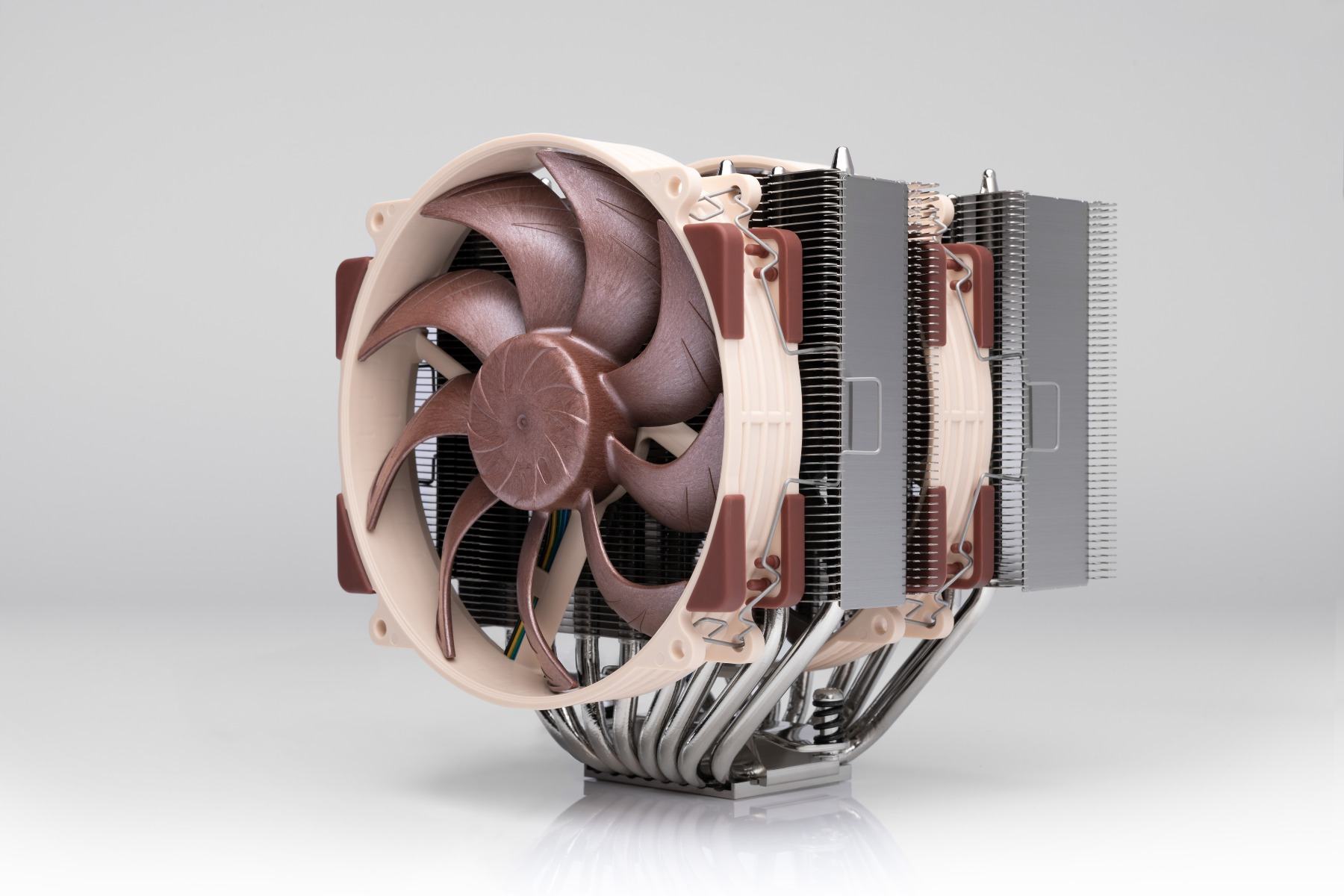 noctua.jpg