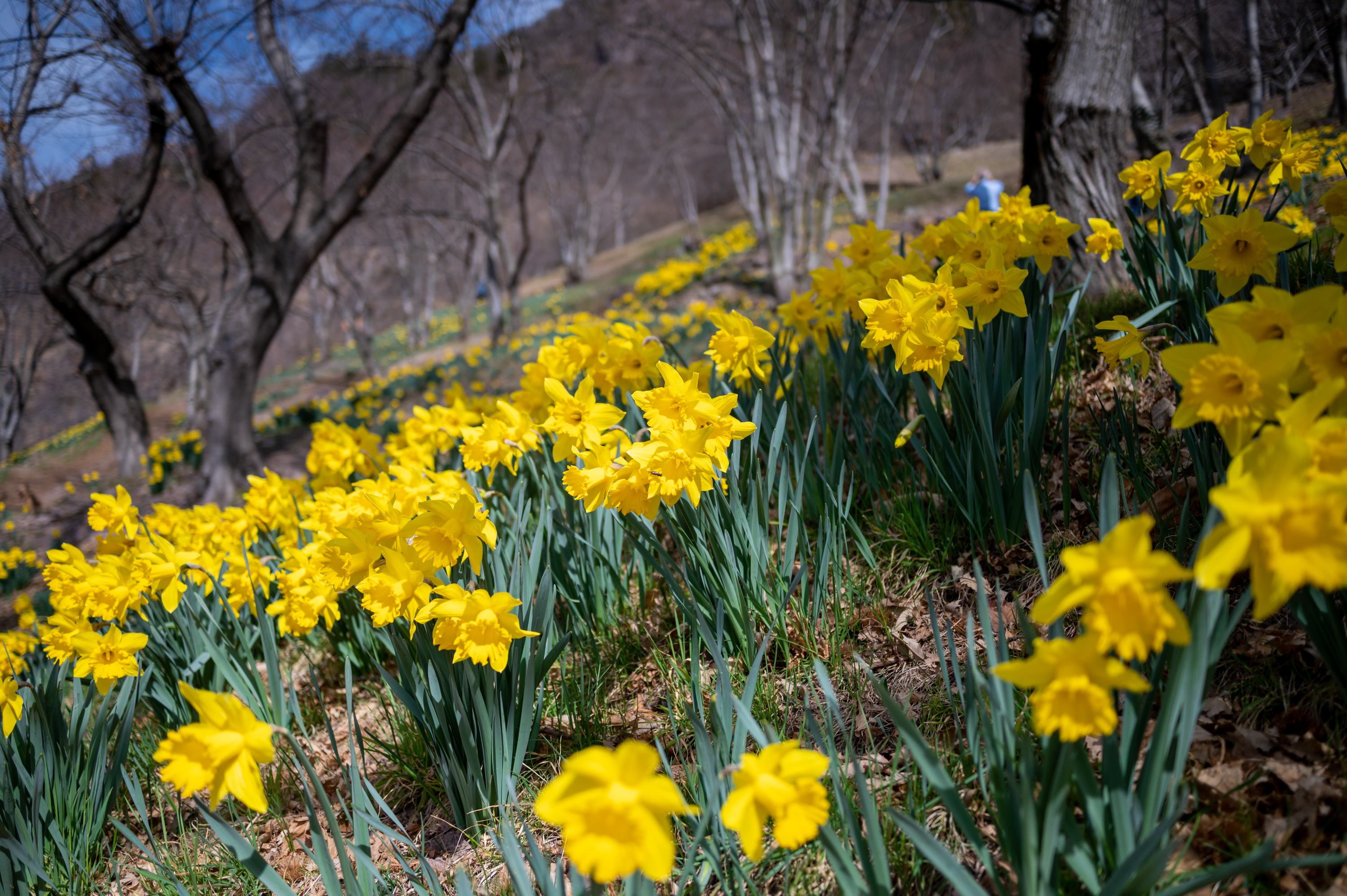 NZ6_5492-HDR.jpg