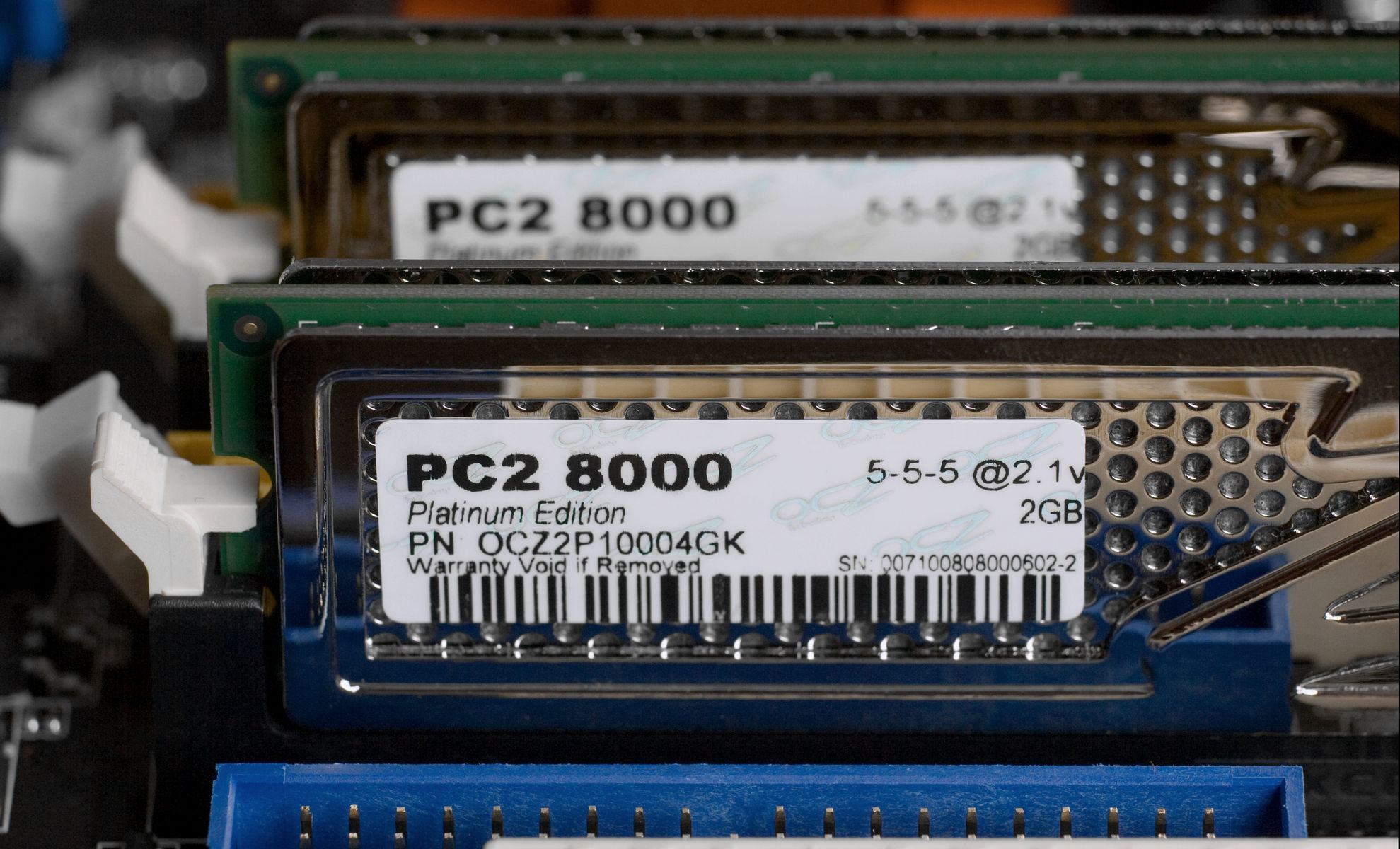 OCZ_P8C5_L1719.jpg