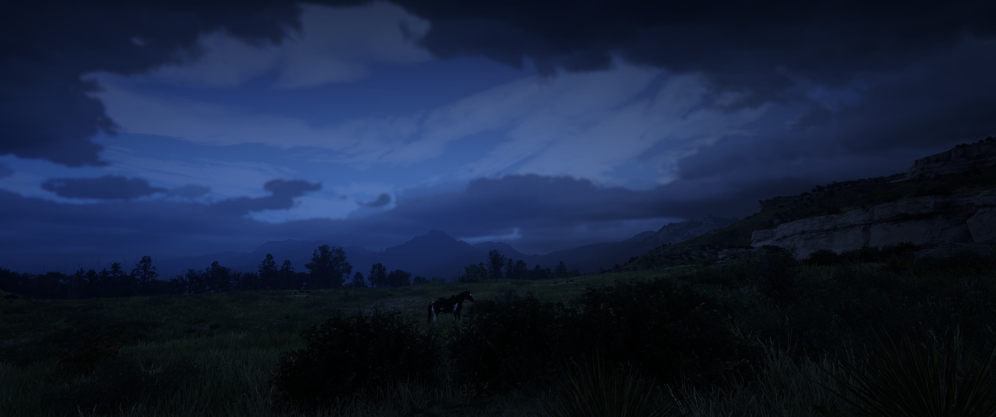 RDR2_2023_01_15_11_27_17_456.jpg