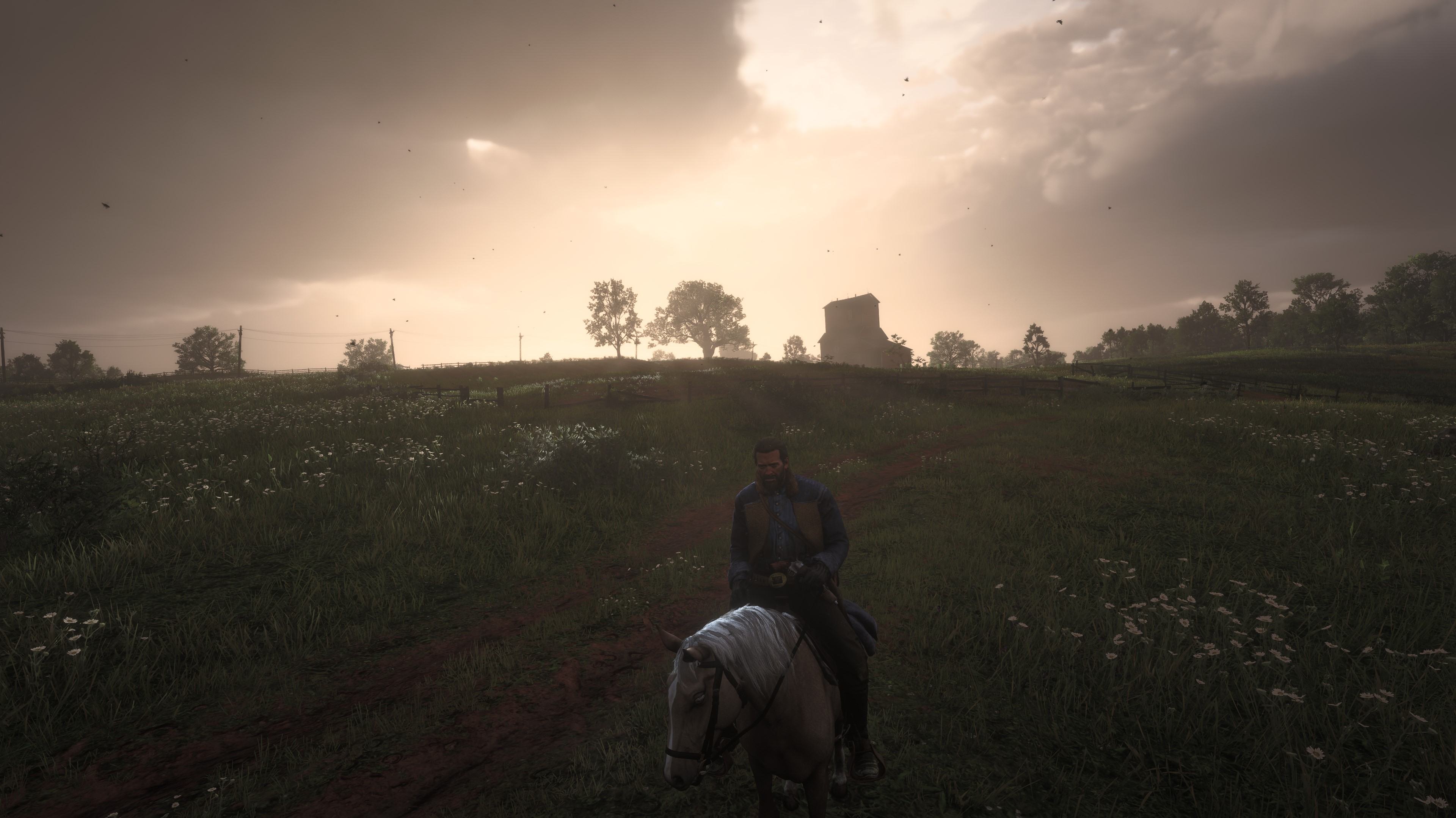 RDR2test2.jpg