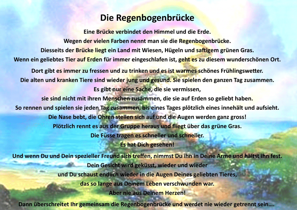 Regenbogenbrücke-1024x724.png