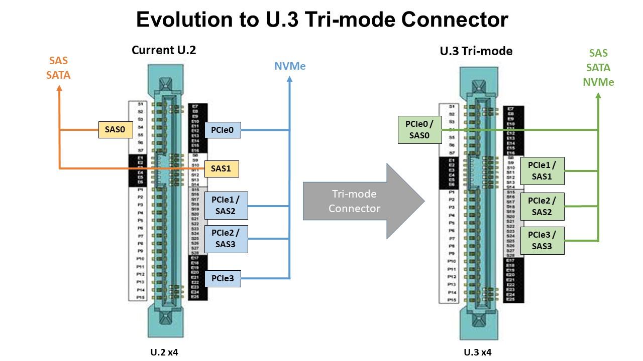 U.2-to-U.3-Connector.jpg