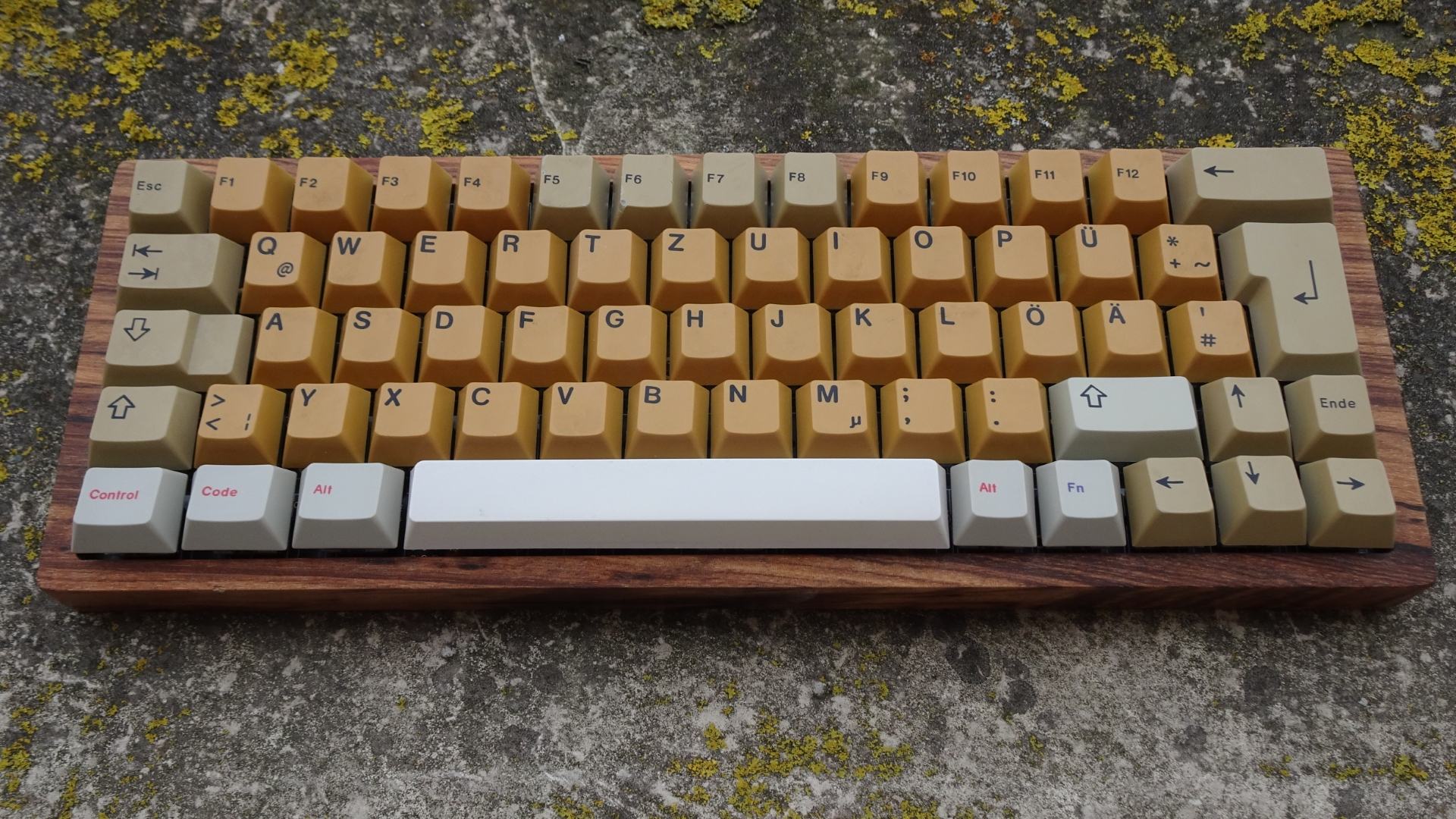 XD60.JPG