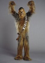 wookie-16745.jpg