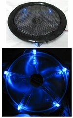 FAN 250blue.jpg