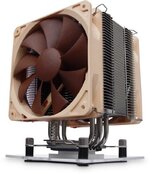 Noctua.jpg