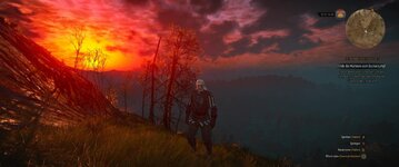 witcher3 2015-10-27 16-42-18-08.jpg