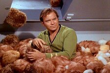 Tribbles.jpg