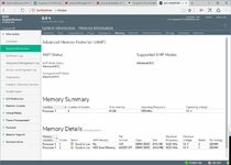 Memory-Details-ILO-4.jpg