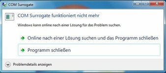 COM Surrogate - Fehlermeldung.jpg