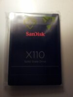 sandisk_110.jpg