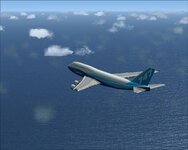 FSX 1.JPG