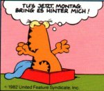 uh44337,1236607717,garfield-pic-3.jpg