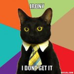 business-cat-meme-generator-irony-i-dont-get-it-6d6580.jpg