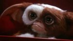 gremlins-gizmo-movie-monster.jpg