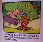 petzi-und-das-bumstier.jpg