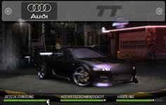 auditt.JPG