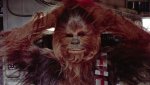 chewie-db_2c0efea2.jpg