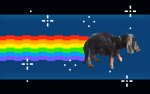 nyan_cat_wallpaper_by_phkoopz-d3dygjm_904398.jpg