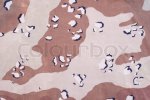 3103971-318371-us-army-army-desert-storm-camouflage-texture.jpg