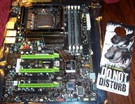 XFX 790i 017.jpg