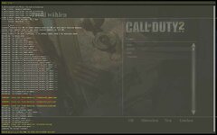 cod2-mit-16580x1050.jpg