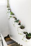 The-White-Haven-Indoor-Plants-on-Stairways.jpg