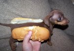 hotdog.jpg