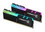 TRIDENTZ-RGB-2DIMMS.jpg