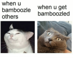 when-u-bamboozle-others-when-u-get-bamboozled-34493432.png