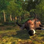 2017-12-18 2238 - Piccabeen Bay - Banteng (16.6)_croppedthumbnail.jpg