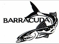 barracuda.jpg