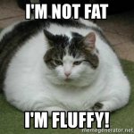 im-not-fat-im-fluffy.jpg