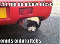 meow diesel.jpg